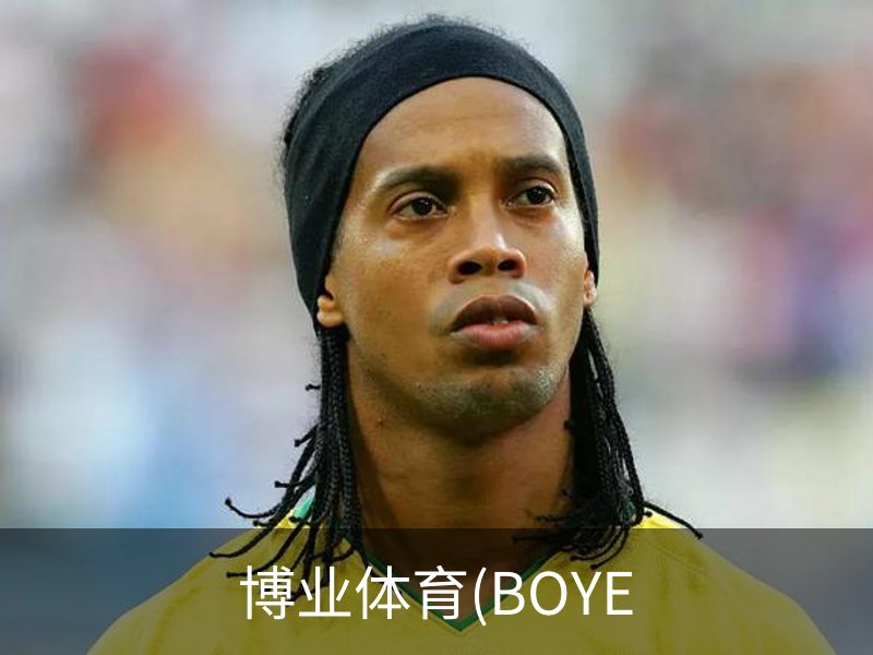 博业体育(BOYE概况